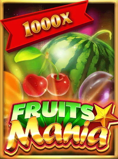 kc999 kc999